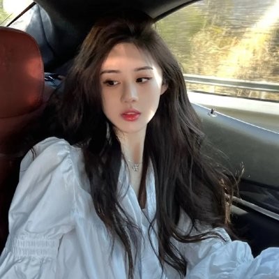 芝加哥警署第五季